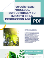 Wepik La Fotosintesis Procesos Estructuras y Su Impacto en La Produccion Agricola 20230710182127exfy