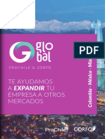 2021 Brochure Empresas Goglobal