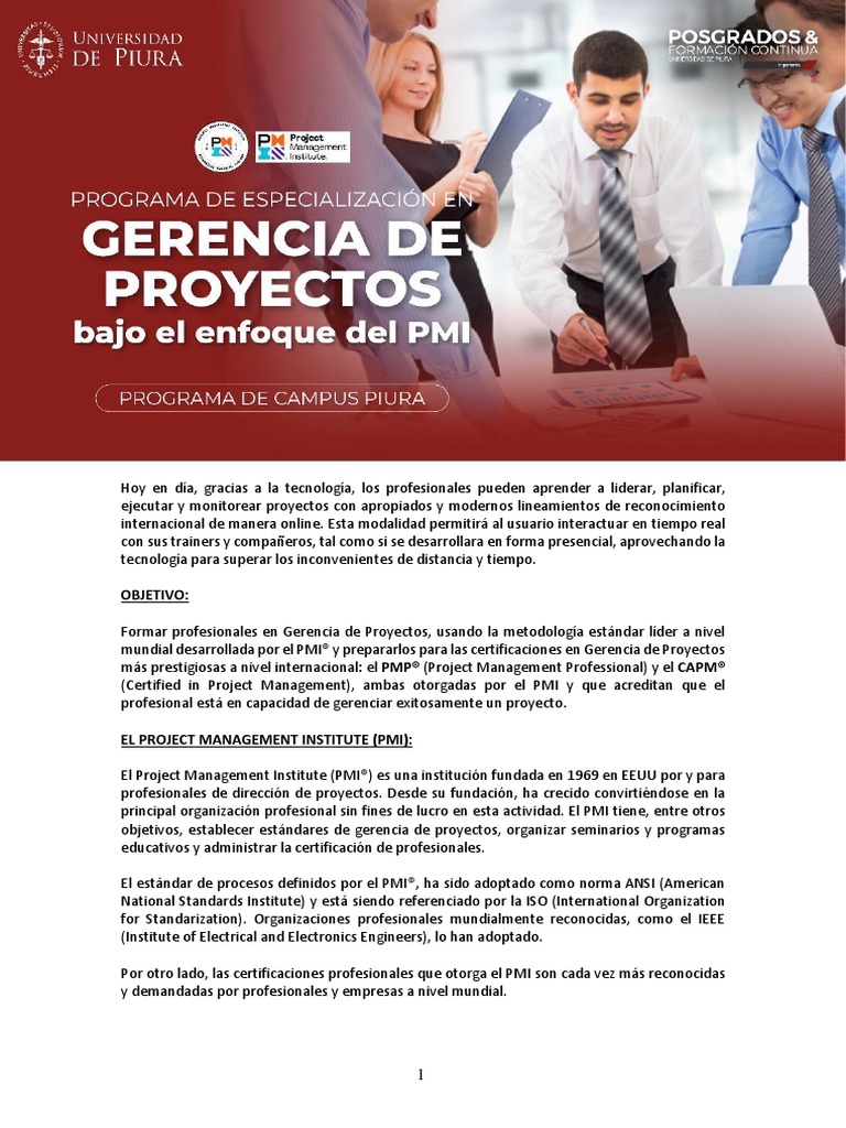 Documento Informativo - XIV PMI | PDF | Profesional en el manejo de ...