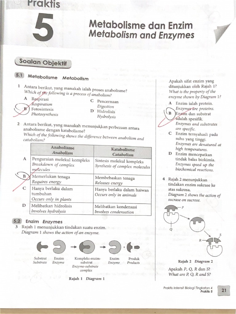 B2C5 | PDF