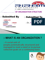 Organization Structure PPT 9