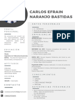 CV-Carlos Naranjo Batidas