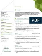 Current Professional Resume Template Green