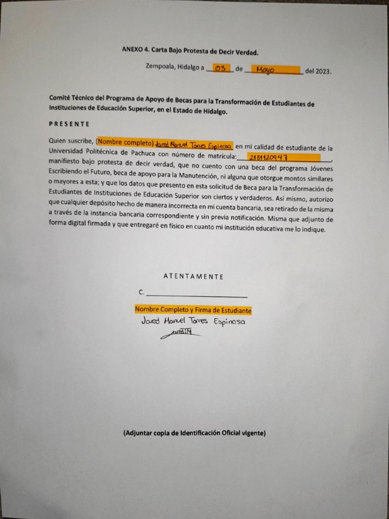 Carta Bajo Protesta de Decir Verdad | PDF