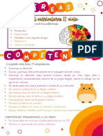 ÁREAS, COMPETENCIAS, ETCpdf