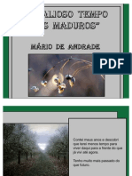 O Valioso Tempo Dos Maduros - Mario de Andrade