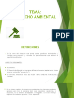 Derecho Ambiental y Principios Ambientales