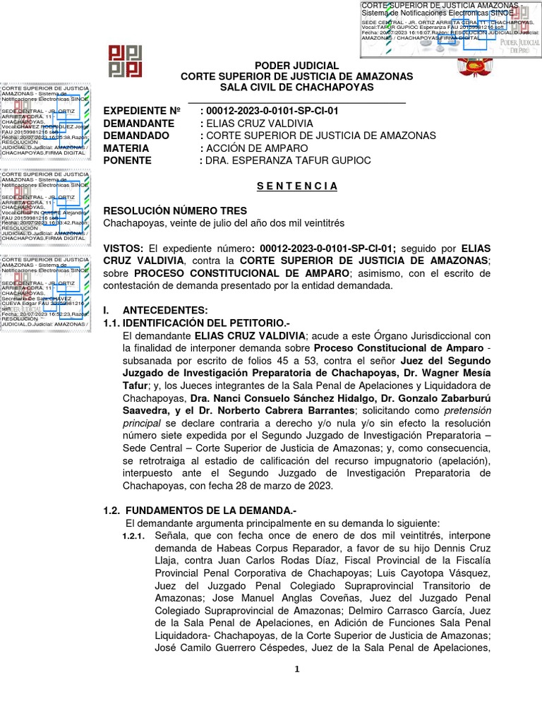 Sentencia sobre Acción de Amparo en Amazonas | PDF | Ley procesal ...