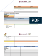 Programa Analitico Formato