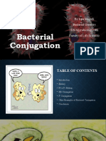 Bacterial Conjugation