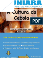 Aula Cebola