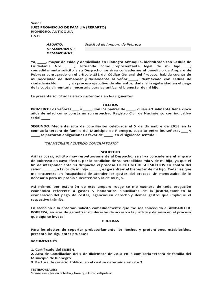 Solicitud de Amparo de Pobreza | PDF | Gobierno | Justicia