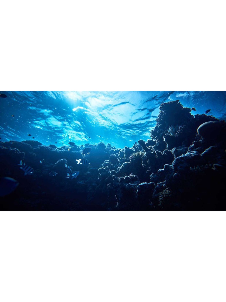 Oceano pdf
