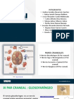 Diapositivas de Los Pares Craneales Grupo 19