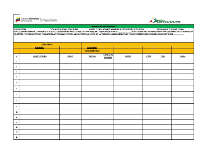 Formato Despacho Pdf