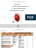 Insuficiencia Renal