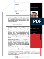 CV Michel Alejandro Dzul Poot