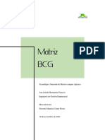 Matriz BCG