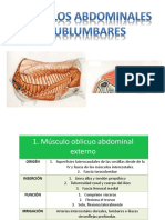 Musculos Del Abdomen y Region Lumbar