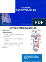 Sistema Cardiovascular I