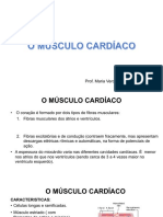 Sistema Cardiovascular II