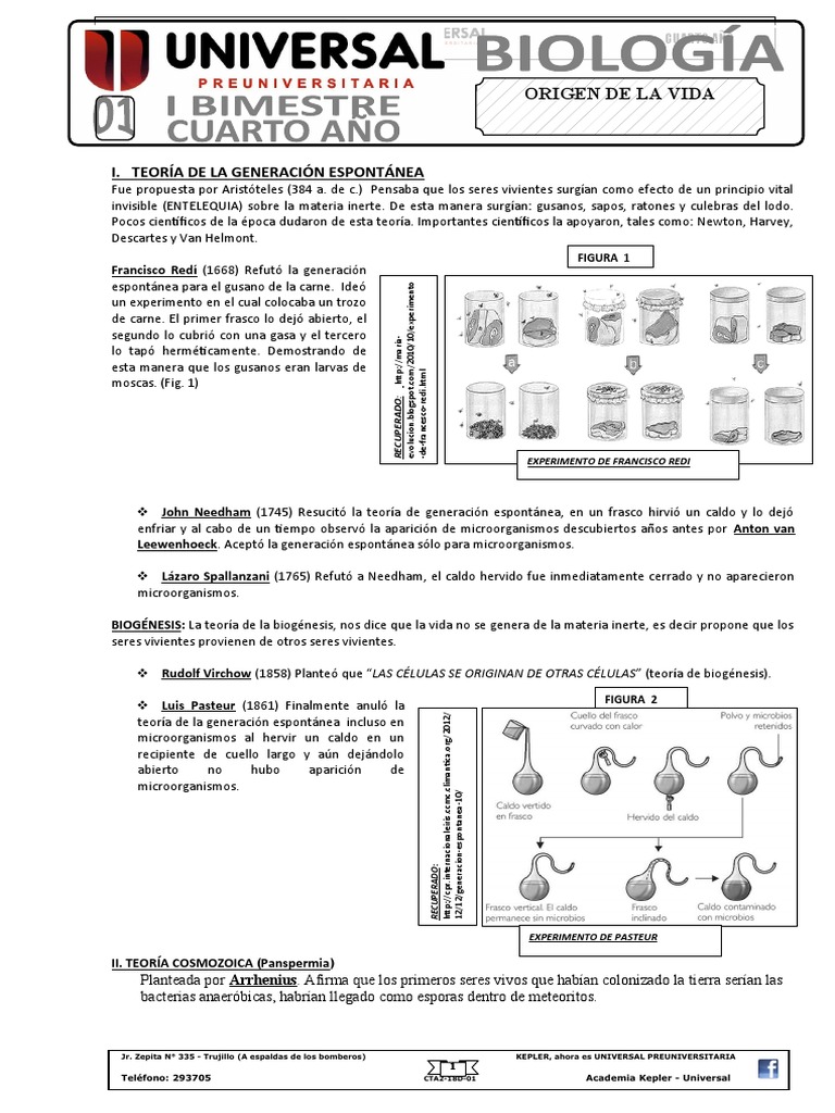 Teorías sobre el Origen de la Vida | PDF | Carbohidratos | Nucleótidos