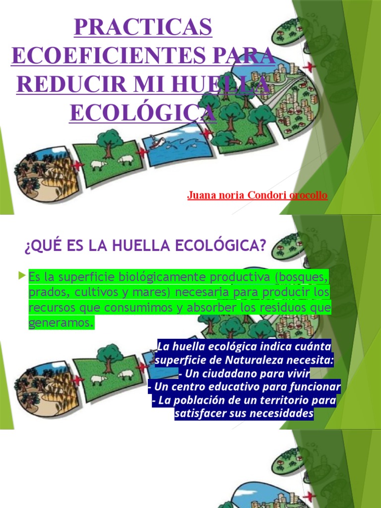 Prácticas Ecoeficientes para Reducir Huella | PDF | Ciencia y ...