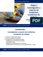 Tema 1 Invest. de Incidentes y Accidentes
