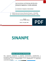 Semana 6 Sinanpe y Sinia