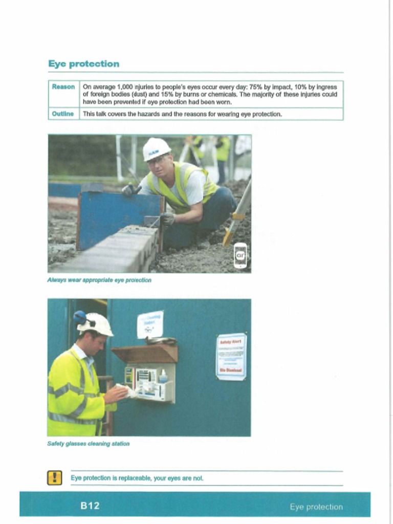 B12 Eye Protection PDF