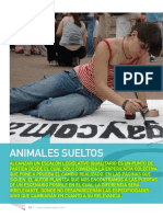 Clase 5 - Alejandro Kaufman Animales Sueltos