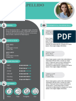 PROFECIONAL 102-Curriculum-Vitae-Power-Point