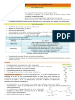 Diferenciación de Membranas (Conflicto de Codificación Unicode 2)