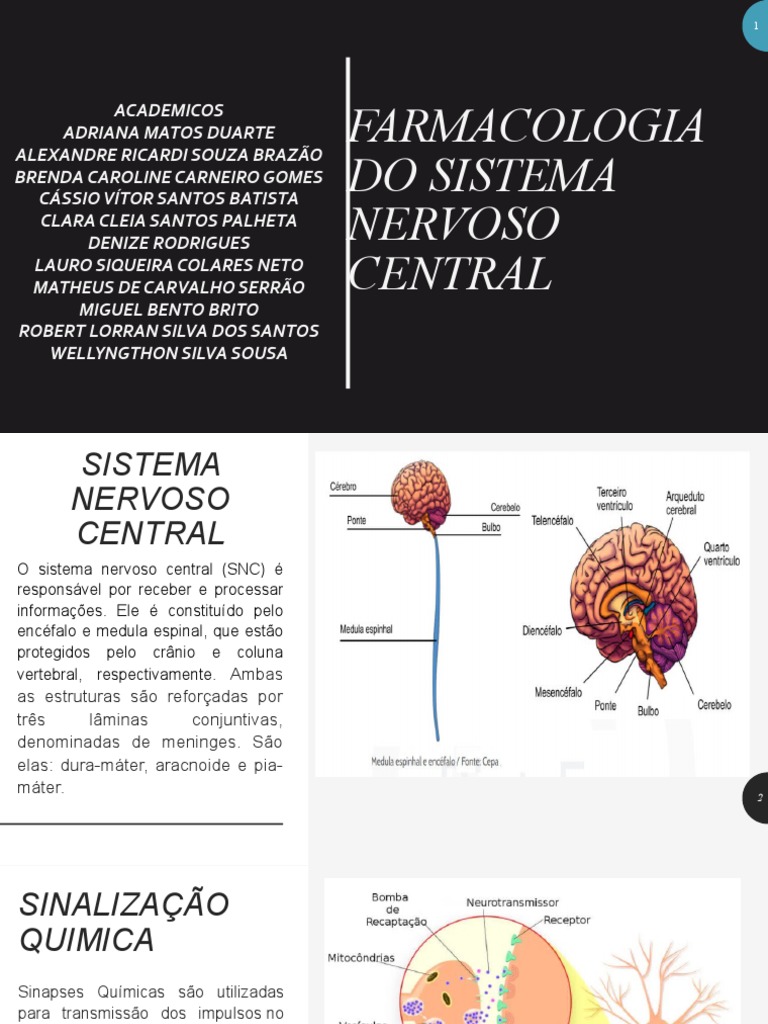 Farmacologia Do Sistema Nervoso Central | PDF | Neurônio | Sinapse