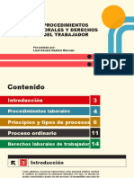 Procedimientos Laborales y Derechos Del Trabajador