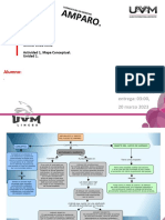 Mapa Conceptual Naturaleza y Objeto Del Juicio de Amparo