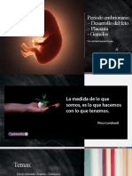 Período Embrionario – Desarrollo Del Feto – Placenta