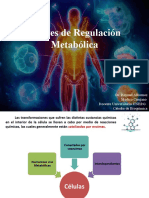 Niveles de Regulacion Metabolicos