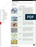 Urinary sediment table