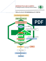 Bagan Alur Pelayanan Pemeriksaan Umum