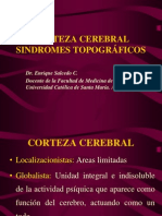 01 - Corteza Cerebral y Sindromes Topograficos