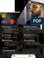 Brochure Power Bi Profesional