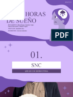 SNC y Horas de Sueño