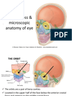 Handout - Gross & Microscopic Anatomy of Ear and Eye