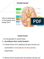 Edited Handout Cranial Nerves & Tastebude Olafactory Epithelium