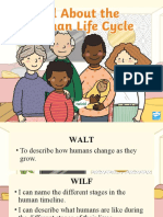 Human Life Cycle Powerpoint