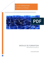 Module de Formation-Initiation Ã La Veille1 Version 2023 - 2