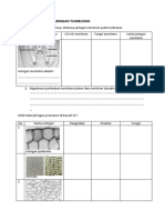 TUGAS MANDIRI 1A Jaringan Meristem Dan Permanen
