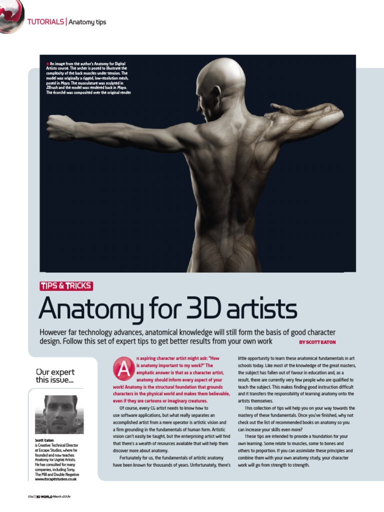 ANATOMY FOR 3D ARTISTS PDF FREE DOWNLOAD visual data 7