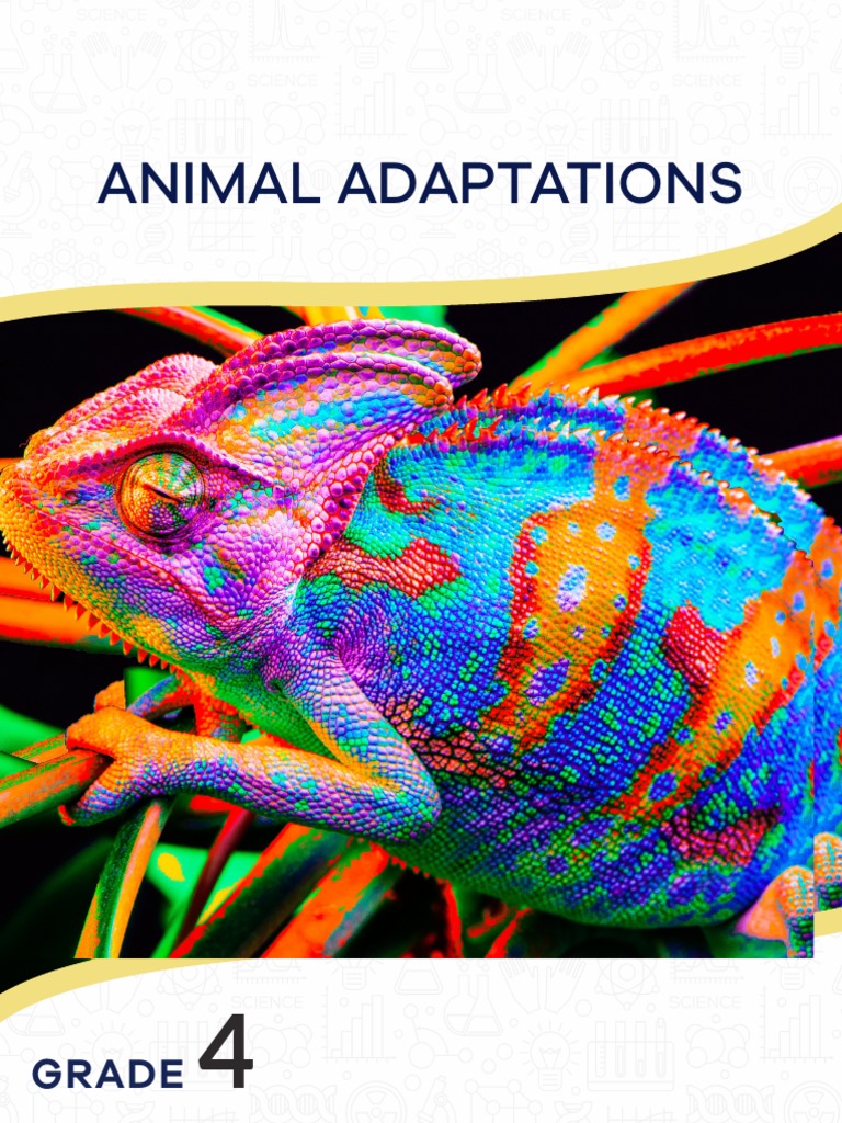 Understanding Animal Adaptations | PDF | Adaptation | Predation